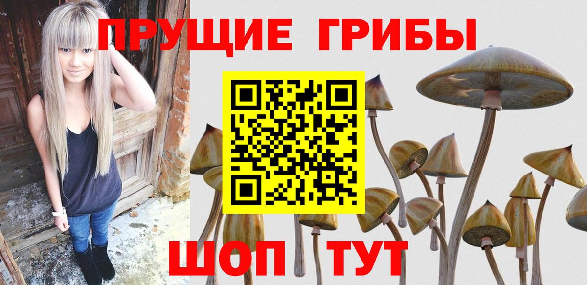 Галлюциногенные грибы Cubensis  Вход с VPN  Керчь 